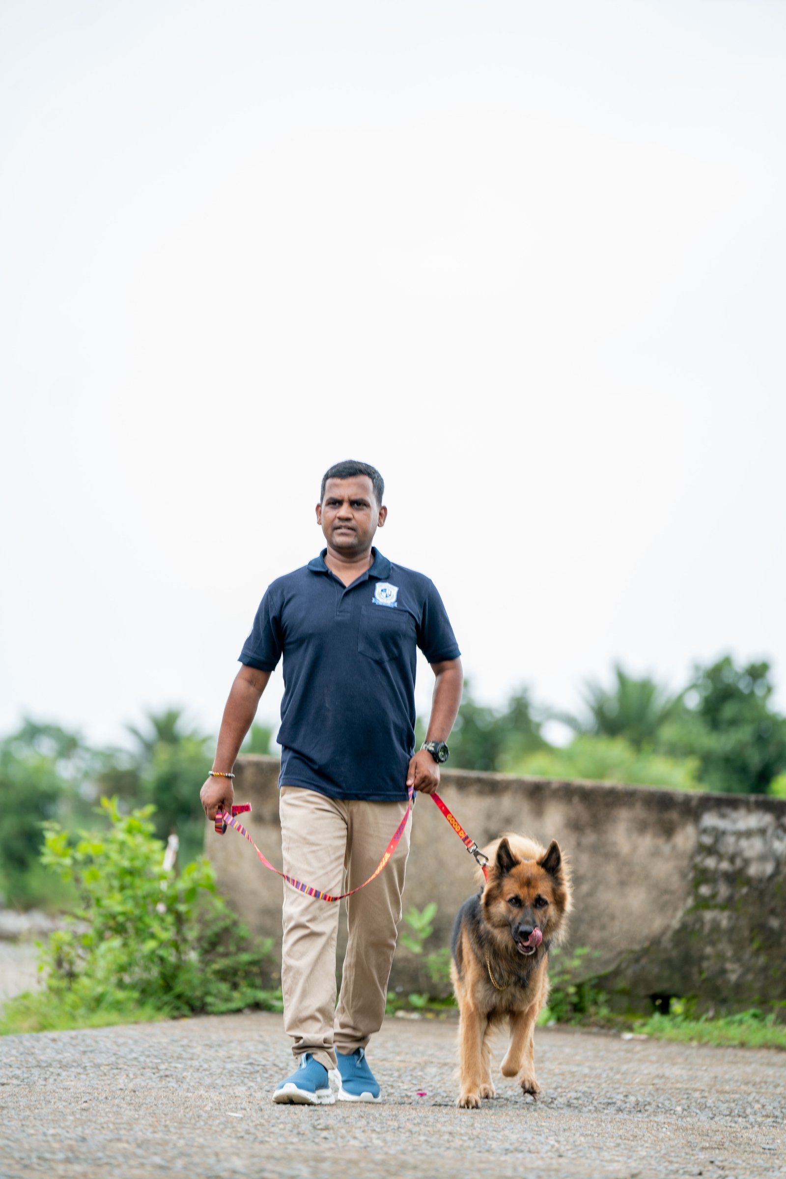 Best Dog Trainer Course in Jamshedpur