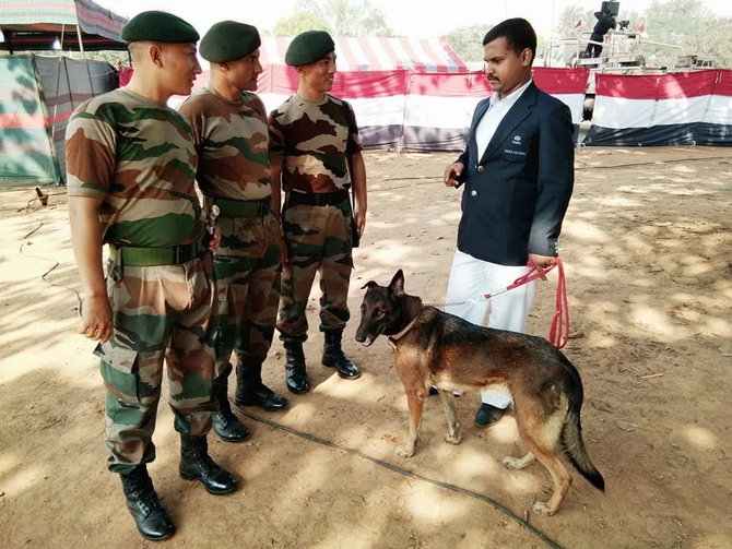 Best Dog Trainer Course in Jamshedpur